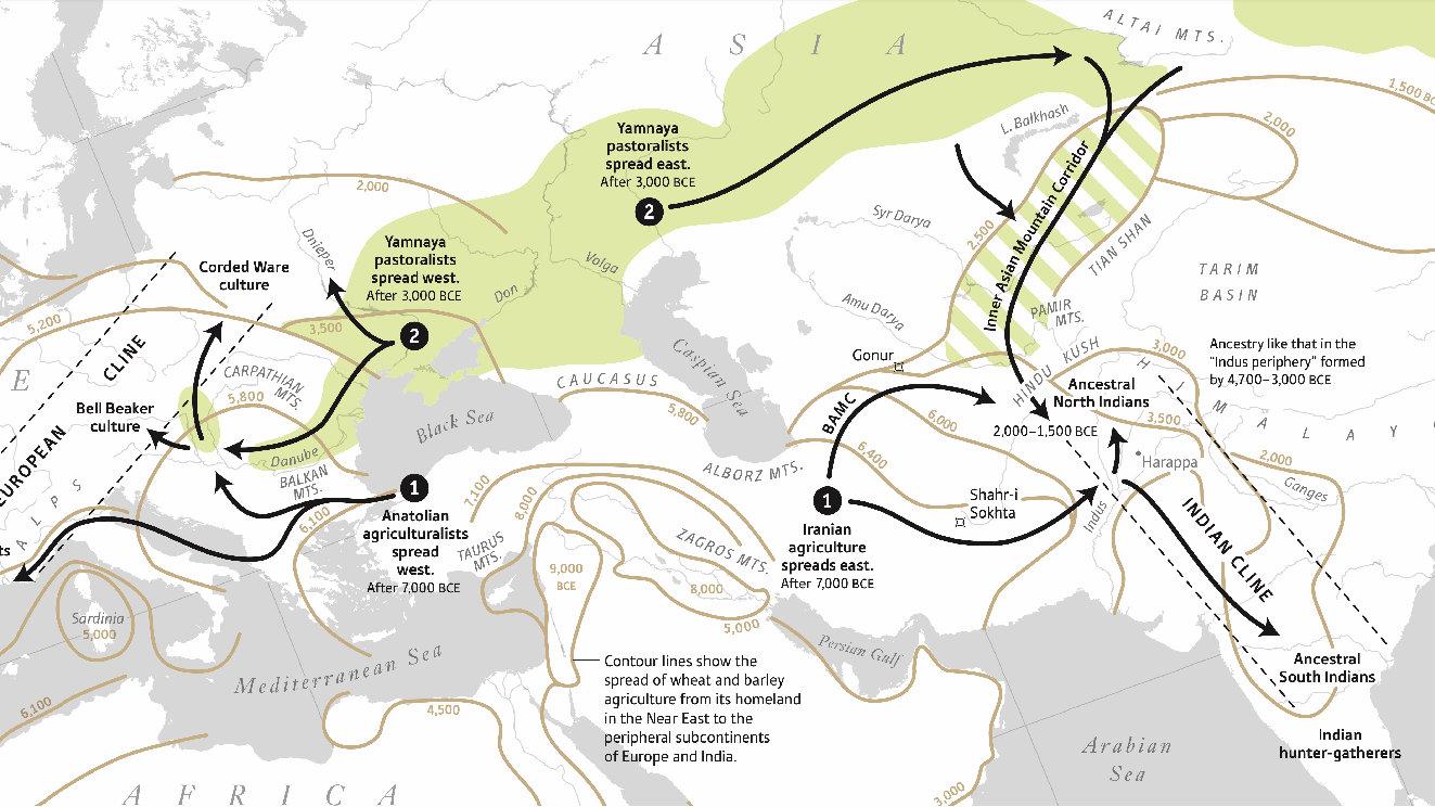 Do nations have navels, or what does it mean to belong?